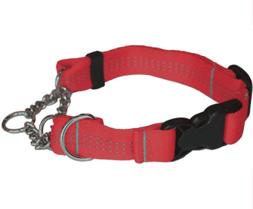 Technika Quick Release Collar: Best Dog Collars for Large Dogs