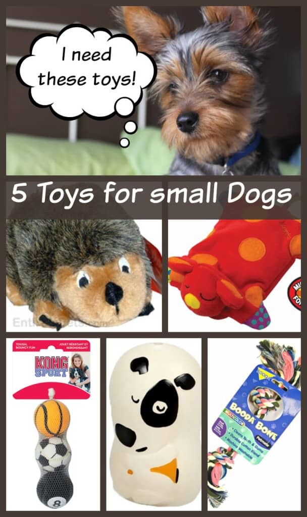 5 Small dog toys your dog can't live without