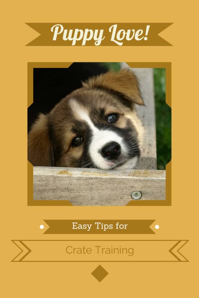 Check out our tips for easy puppy crate training and help your new puppy find a safe place that's all his own!