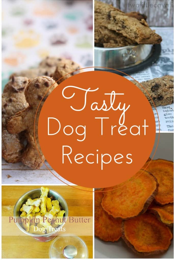 Looking for Easy & Delicious Homemade Dog Treat Recipes so you can whip up some tasty morsels for your canine companion? We've got you covered !