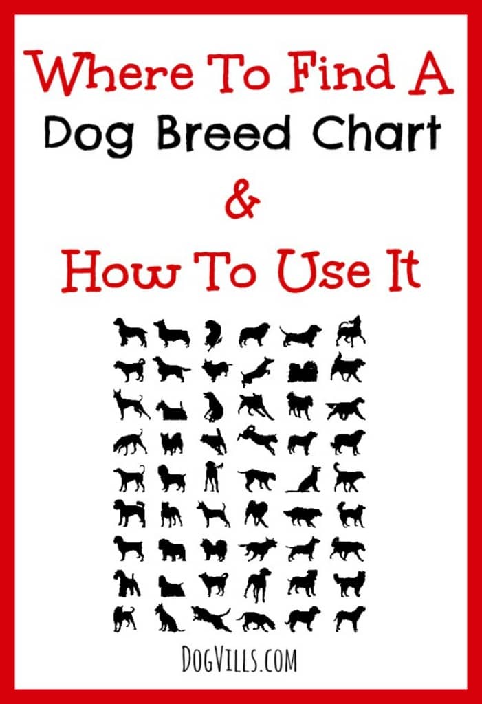 Check out our tips on where to find a dog breed chart and how to use it to choose the right dog for your family!