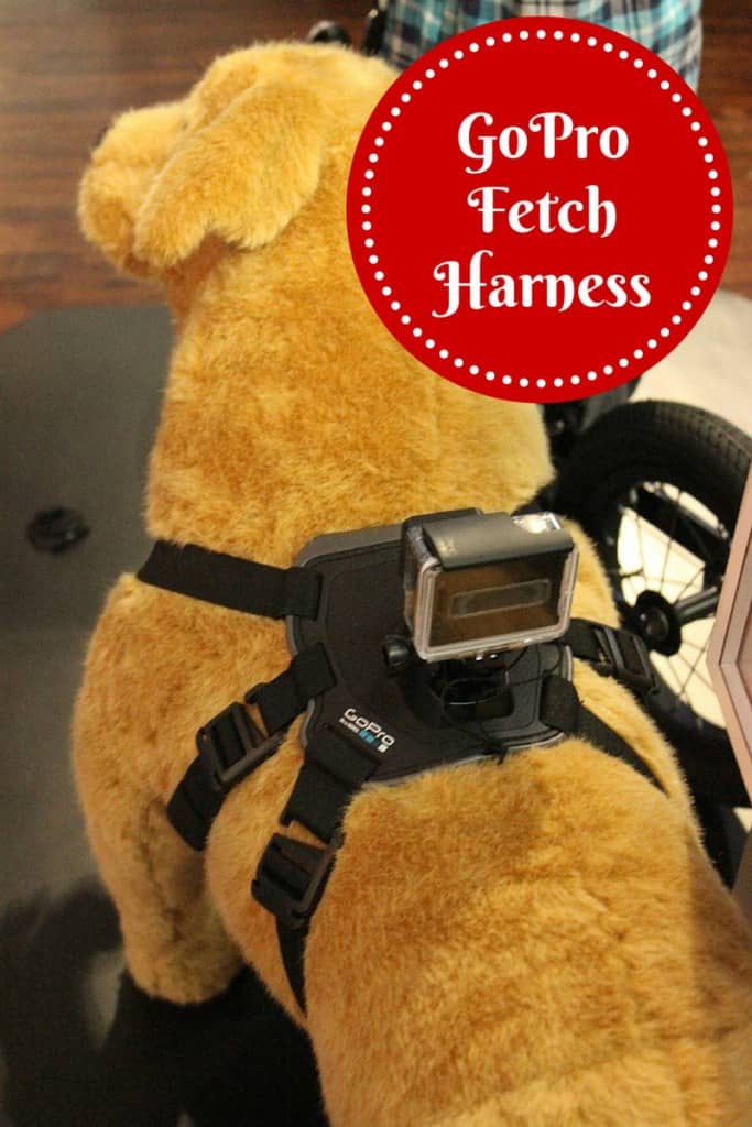 Capture your dog's every wild adventure with the GoPro Fetch Dog Harness, a unique mount that lets you strap your GoPro camera right to your pooch!