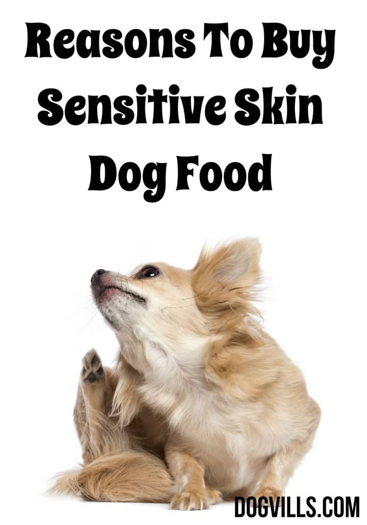 These Reasons To Buy Sensitive Skin Dog Food provide information on the many reasons your dog may be uncomfortable in its own skin