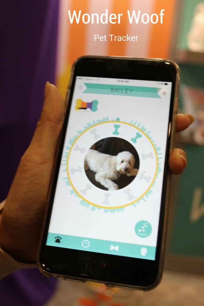 Wonder Woof does more than just track your dog's location & activity. It's also an incredible training tool, community for socializing and more.