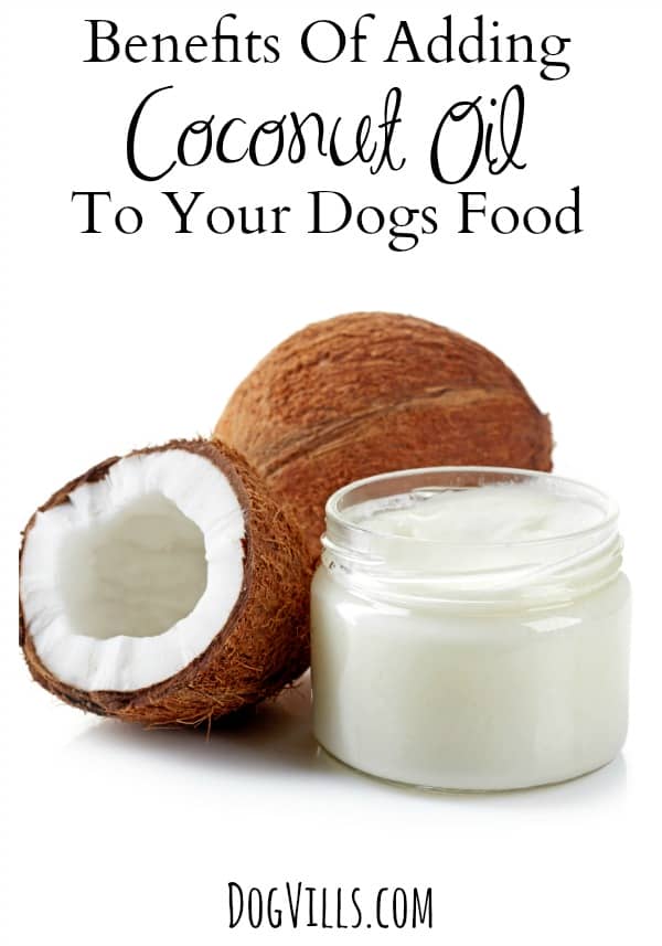 What are the benefits of adding coconut oil to your dog's food? More than you may realize! Check out our thoughts & see if it will benefit your dog!