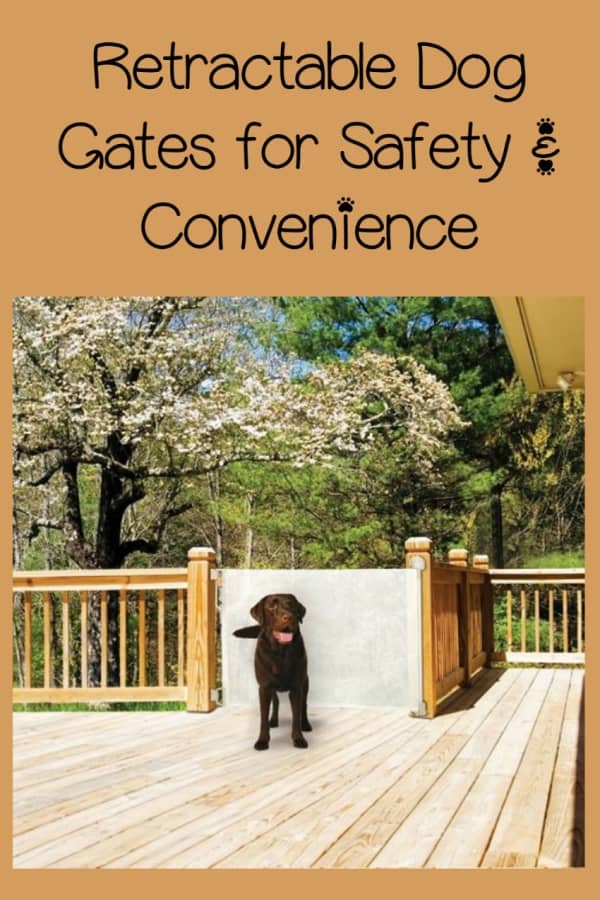 For ease of use and safety, you can't beat retractable dog gates. Retractable dog gates are a variation of the standard mounted gate but easier to use.