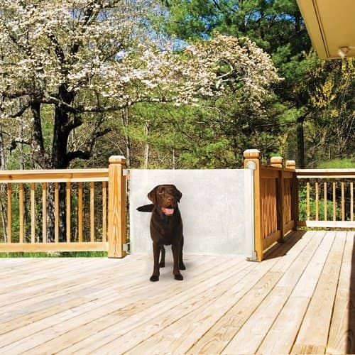 Retractable dog gates