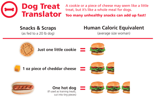 Dog treat translator