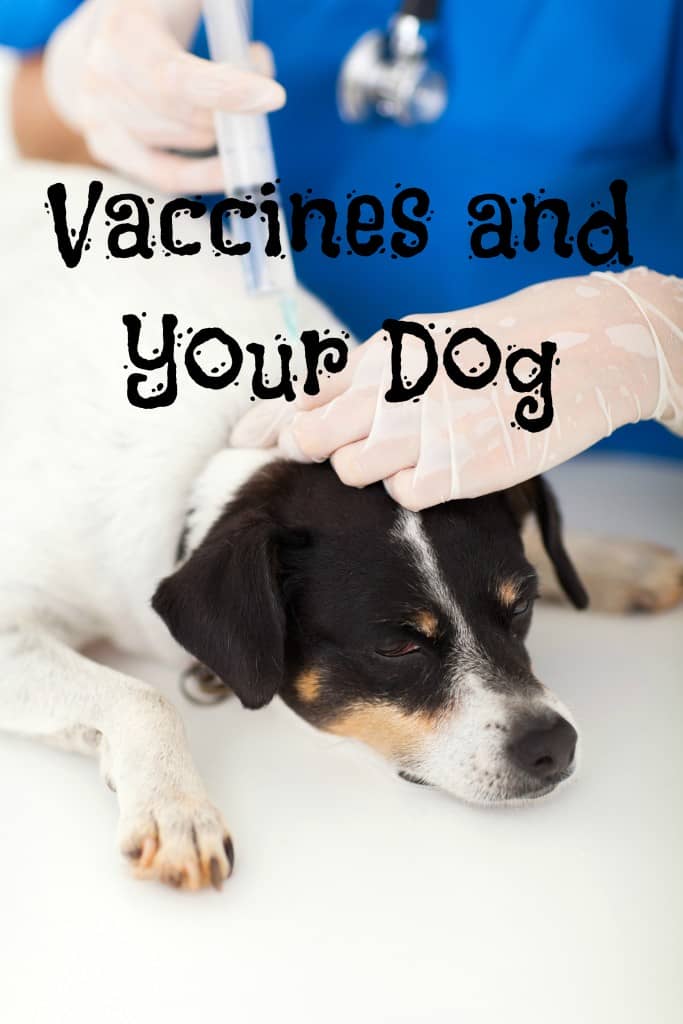 Are dog vaccines a good idea or dangerous? Should you get them for your canine companion? Check out our thoughts & see which vaccines we won't skip!