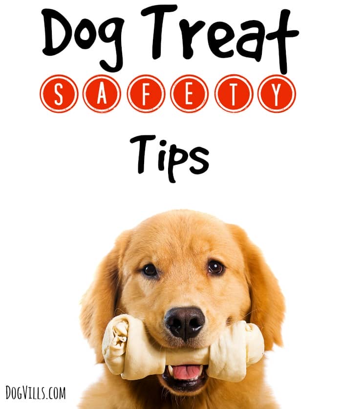 Worried about whether or not that bone Fido devoured in one sitting is going to hurt him? Check out our dog tip safety tips to keep your pooch in top shape!