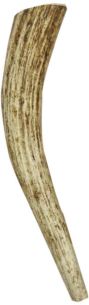 Newst Large Antler  hypoallergenic Dog Bone