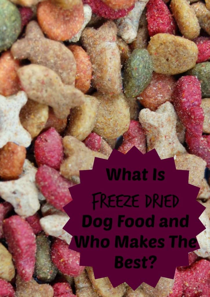 What is freeze dried dog food? How can you find the best brand for your canine pal? Check out our answers to these questions & decide if it's right for you!