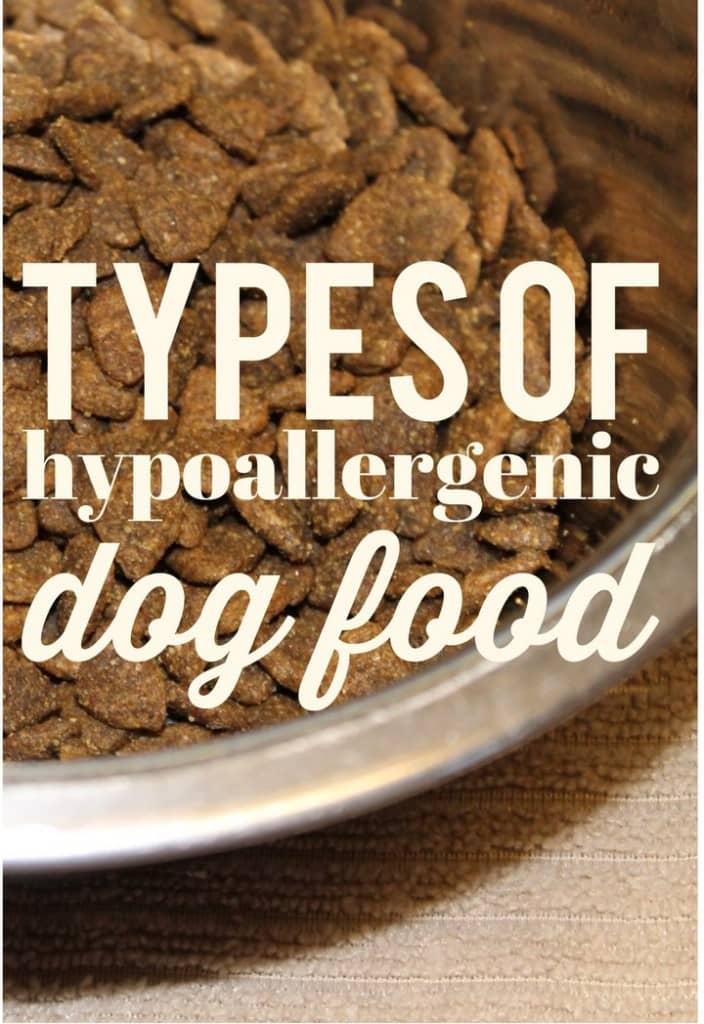 There are many hypoallergenic dog food companies out there. The variety is vast, but the basic types of hypoallergenic dog food are the same.