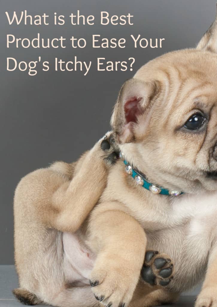 If your dog is shaking his head a lot, his ears may be bugging him. Check out these best products to ease your dog's itchy ears and give him swift relief.