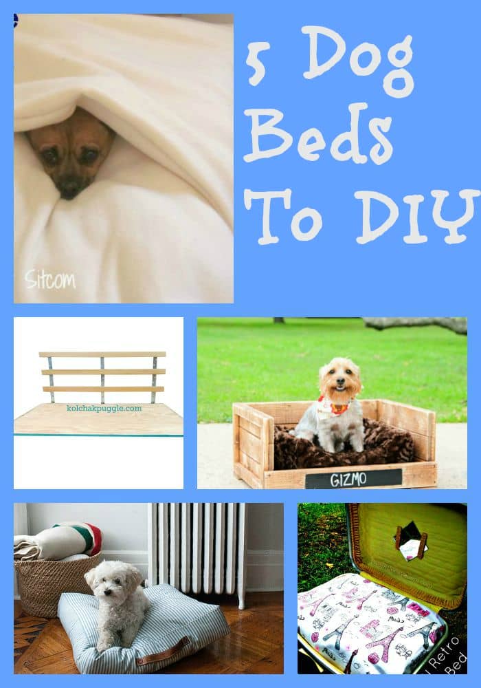 Why spend a fortune on dog beds for your pooch when you can make one of these great DIY Dog beds and get sewing!