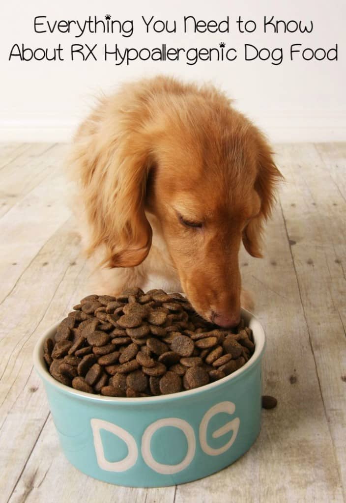 Prescription hypoallergenic dog food is only available through your vet or an online pet pharmacy. Here's some info on prescription hypoallergenic dog food.