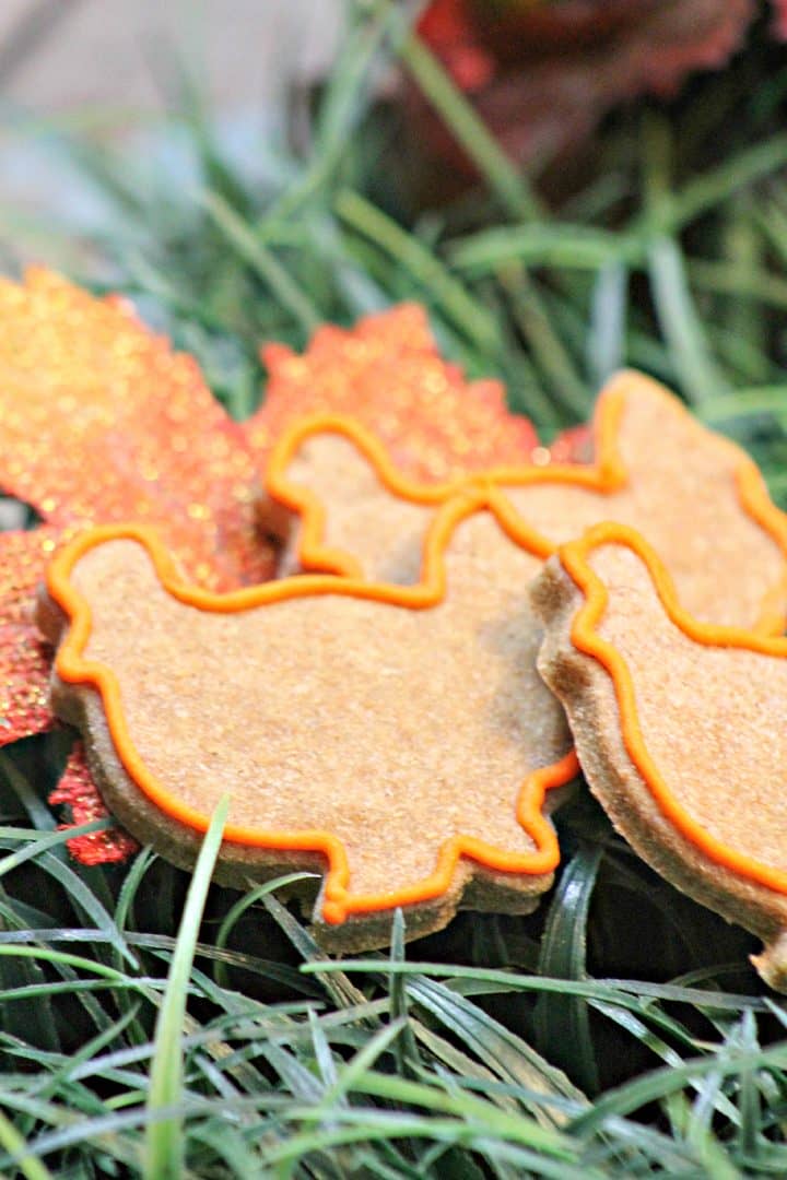 Turkey-Shaped Hypoallergenic Dog Treat Recipe for Thanksgiving