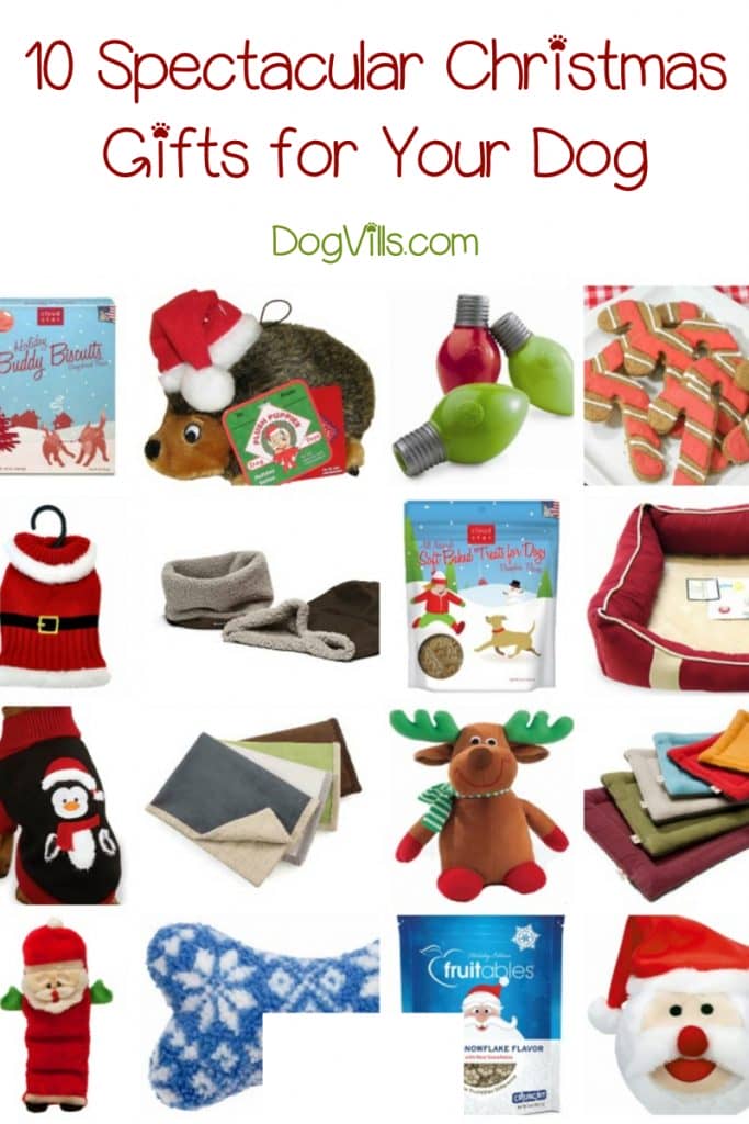 When you're making your list and checking it twice, don't forget to get a little something for Fido & Spot! Check out our favorite Christmas gifts for dogs!