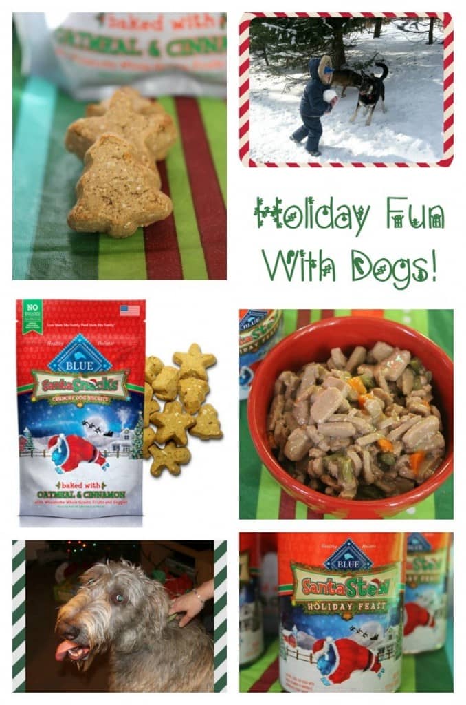 Looking for fun ways to include your dog in the holidays? Check out our tips, including incorporating yummy BLUE Santa Snacks into their stocking & more!