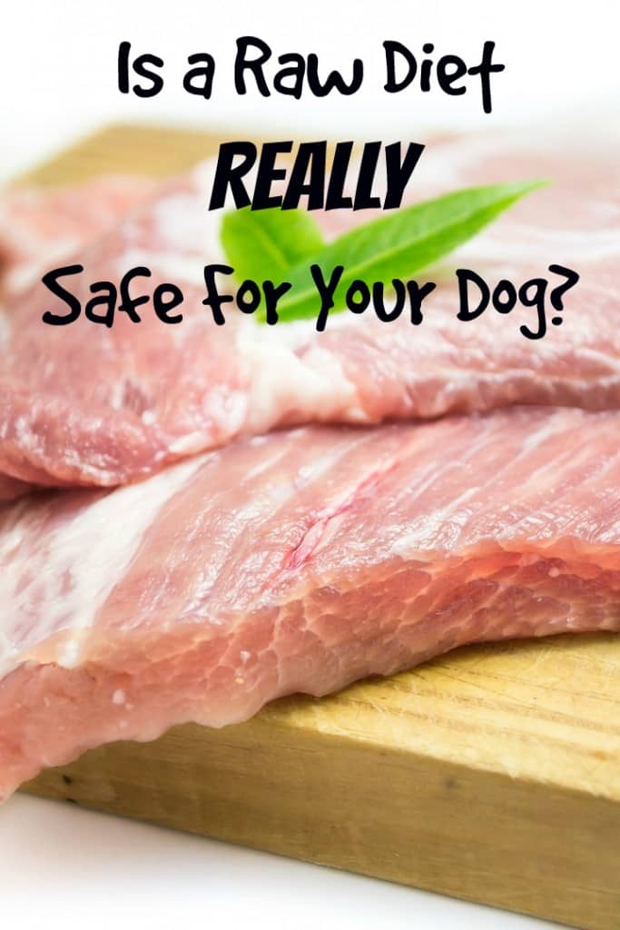 Is a raw diet a safe & effective way to feed your pup or a road to disaster? We look at both sides in our debate on the pros & cons of a raw diet for dogs!