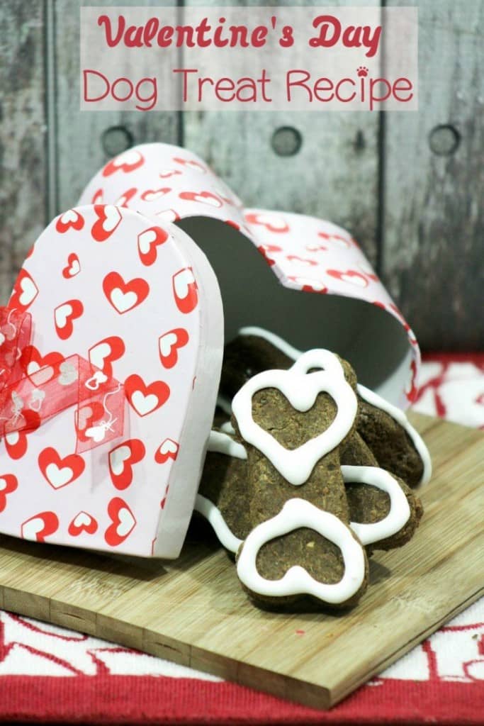 This Valentine's Day dog treat recipe is such a cute way to show Fido how much you love him on February 14th! It's easy to make! Check it out!