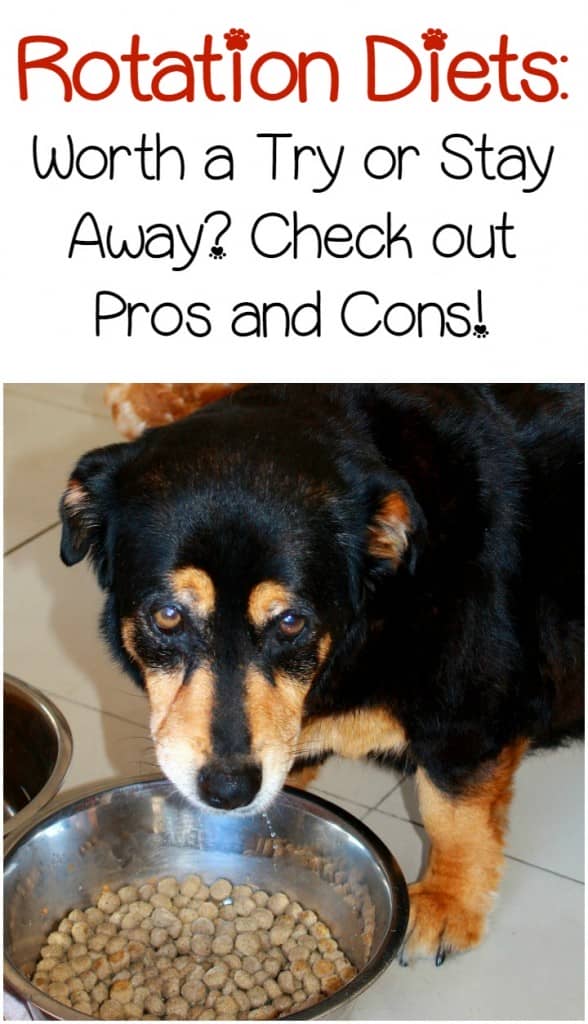 Can a rotation diet help prevent allergies in your dog? Is it a good feeding method overall? Check out the pros and cons!