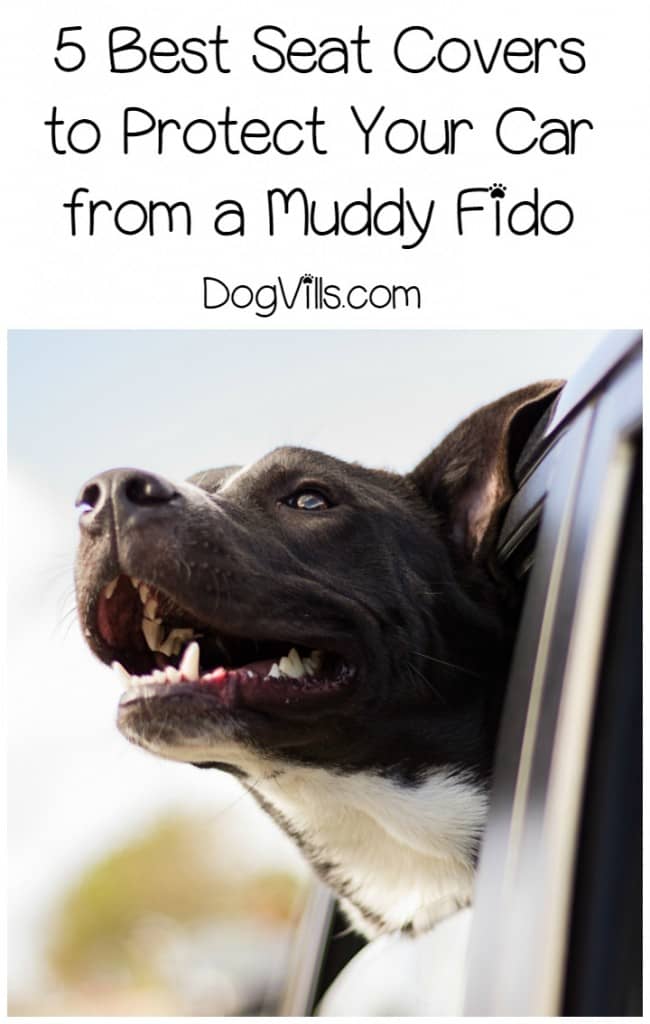 If you take your dog for rides in the car often, a good seat cover is one of the most important dog accessories you’ll need for your own sanity. No one likes cleaning up muddy foot prints or trying to get wet dog smell out of their upholstery, right? Check out our picks for the best dog car seat protectors to keep Fido from wrecking your car.