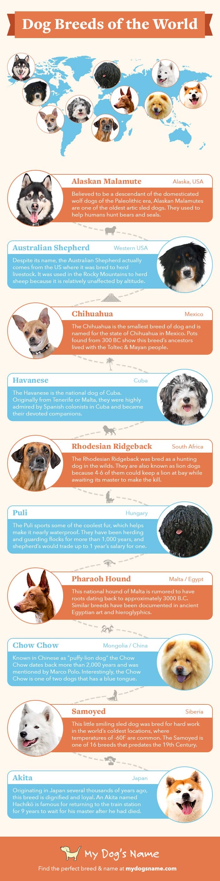 When you look at dogs from around the world, from the petite Pomeranian to the giant Great Dane, it’s hard to believe they’re the same species. Dogs vary so much in their appearance and personality. Check out these crazy facts about dog breeds from around the world!