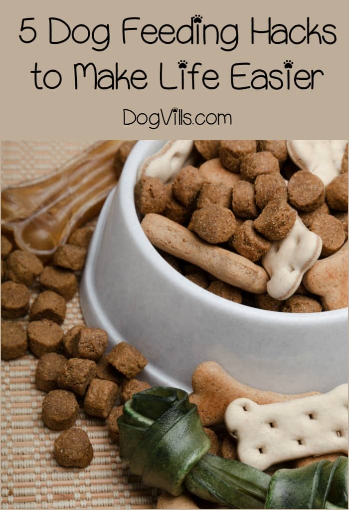 Feeding your dog isn’t always as easy as it sounds. Between the messes, the speed-eating and the icky breath from their dog food, it’s sometimes like trying to feed a toddler! Check out these five hacks that will dog feeding time much easier!