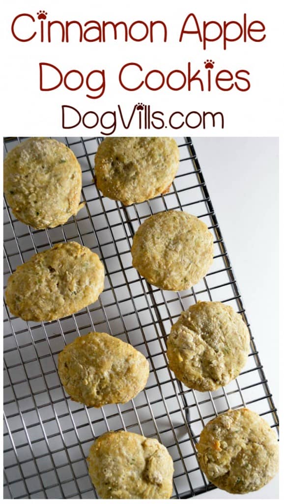 We have another delicious hypoallergenic dog treat recipe for you today for your pooch with allergies! Fido is going to love our cinnamon apple dog cookies! They smell SO good when they're baking, you might be tempted to take a bite yourself