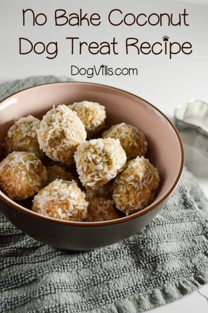 Ready for another delicious no-bake hypoallergenic dog treat recipe? I know I am! It is getting HOT out there! I definitely don't want to turn on my oven if I can avoid it. I'm all about no-bake right now. This particular coconut treat is fabulous for dogs with allergies, especially if they have itchy skin. Get the recipe now!