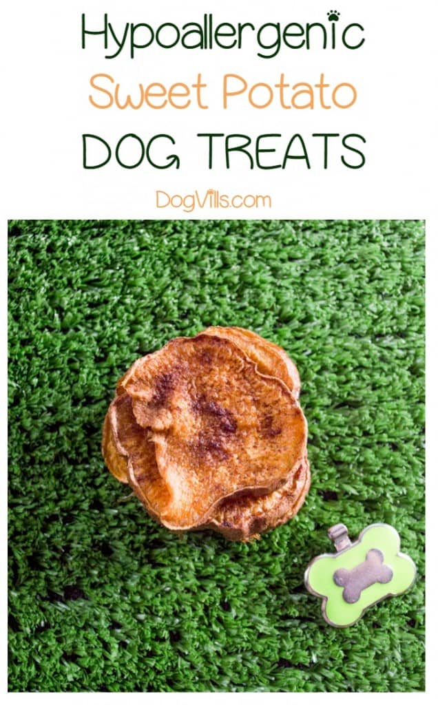 When it comes to making a hypoallergenic dog treat, less is definitely more. The fewer ingredients you put into your homemade treats, the less likely you are to aggravate your pup's allergies. This easy sweet potato "jerky" chew dog treats recipe has only three ingredients. Check it out!