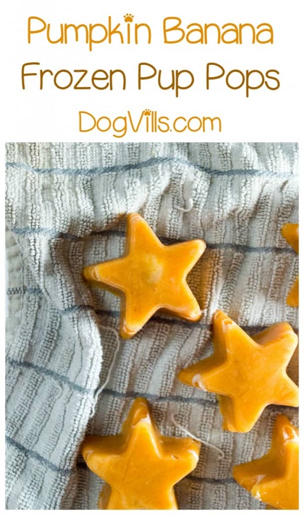 Cool Fido down on a hot summer day with a delicious frozen pumpkin banana hypoallergenic dog treat recipe! Whip it up in minutes!