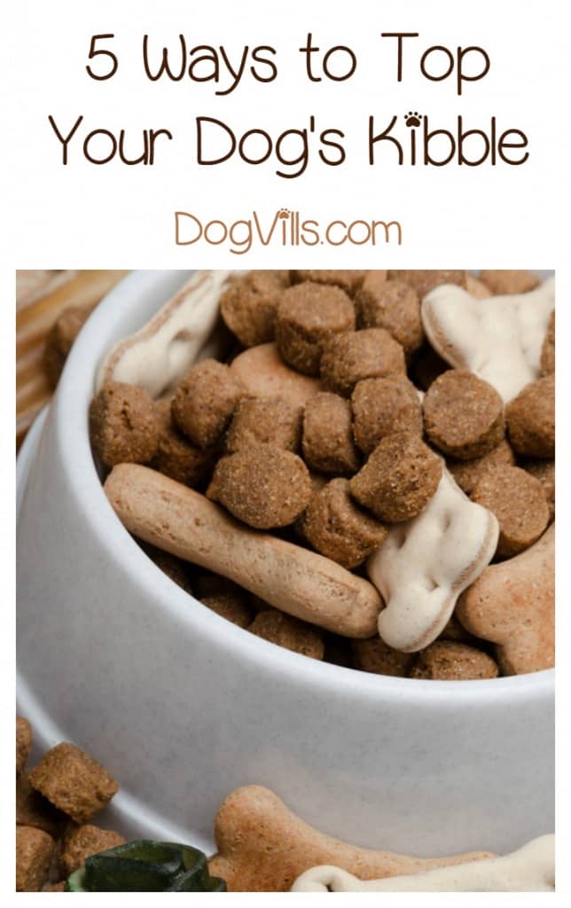 Looking for a great way to “spice” up your pup’s food? Check out these 5 great dog kibble toppers!