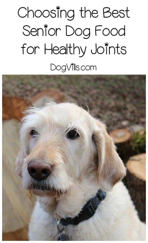 Feeding your older pooch the right food can go a long way to keeping him comfortable and active. Check out our tips for choosing the best senior dog food for healthy joints!