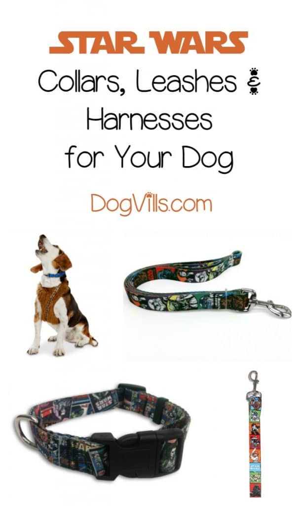 Walk your dog in style with these 5 fabulous Star Wars dog leashes and harnesses! They're a must for any fan of the franchise!