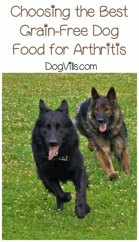 What is the Best Grain Free Dog Food For Arthritis? - Dogs With Arthritis And Digestive Issues Best Grain-Free Recipes