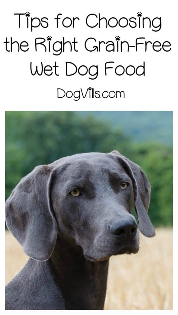 Stunning Grain Free Wet Dog Food For Anxiety image