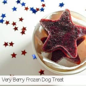 strawberry-blueberry-frozen-dog-treat-sa