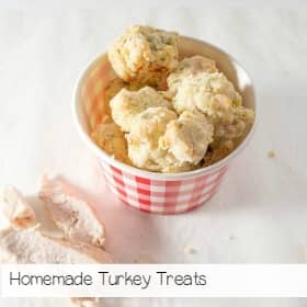 turkey-treats-homemade-dog-treats-for-dogs-1-of-1-6_zpsvxdughvh