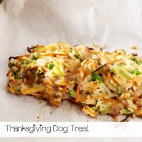 thanksgiving-dog-treat-recipe