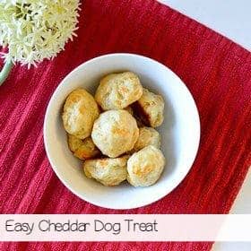 cheddar-dog-treat-recipe-sa