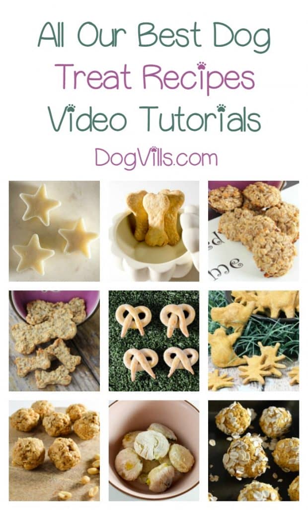 Love making treats & other goodies for your pooch? Check out our collection of dog food videos, recipes & treat tutorials that Fido will adore!