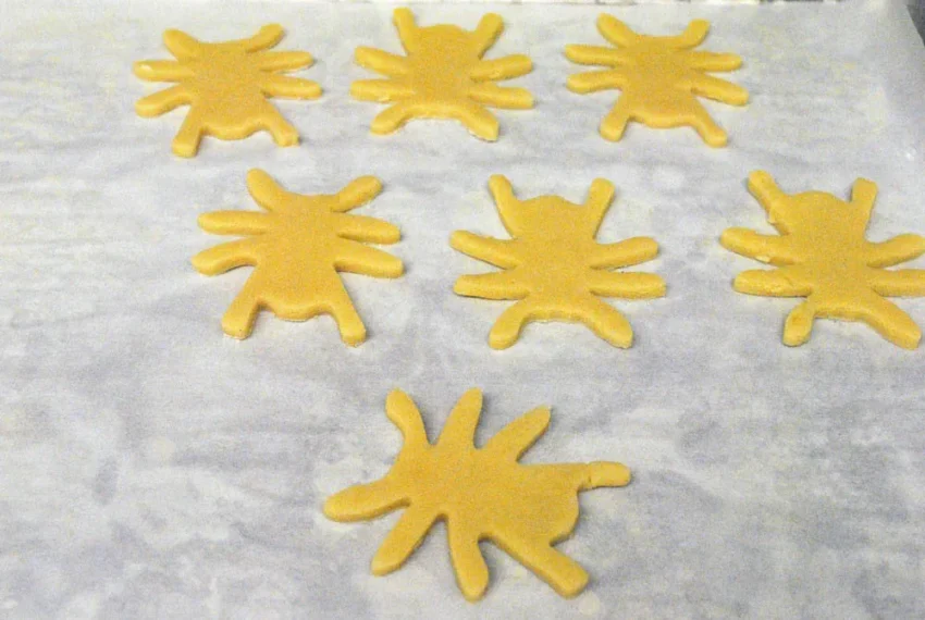 Spider Halloween Dog Treats Tutorial