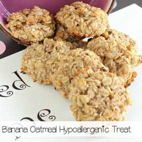 hypoallargenic-dog-treat-recipe-banana-oatmeal-treat-sa