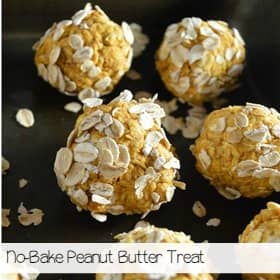 no-bake-peanut-butter-dog-treat-recipe-sa