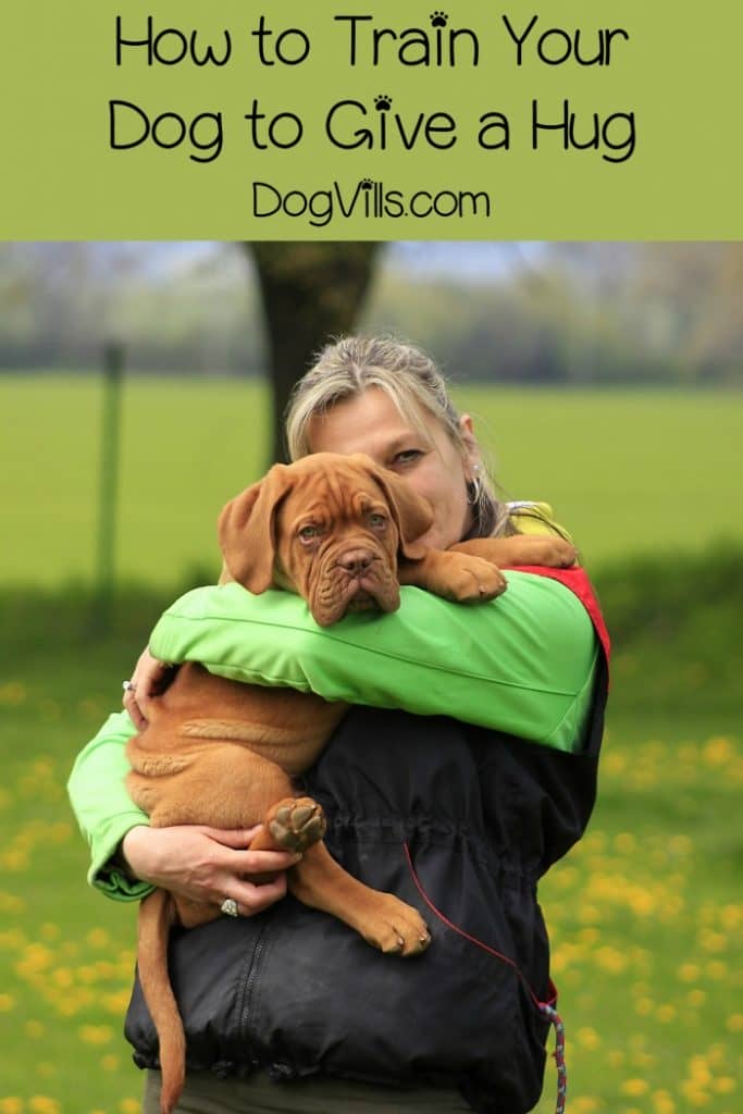 Learning how to train your dog to give a hug is easier than you might think! Check out our dog training tips + things to consider before teaching your dog to hug!