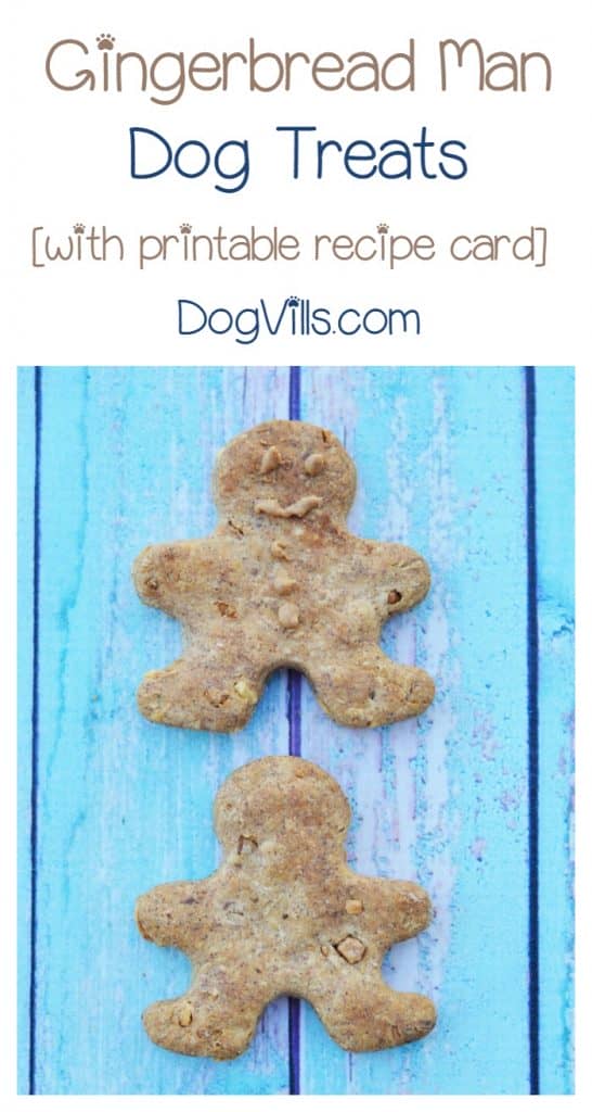 Get ready to spoil your pooch with our tasty homemade gingerbread man dog treats recipe! Makes a great Christmas gift or tree ornament too!