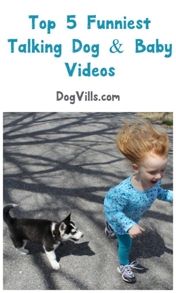 Get ready for some of the funniest talking dog and baby videos! Seriously, is there anything cuter? Check out our favorites!