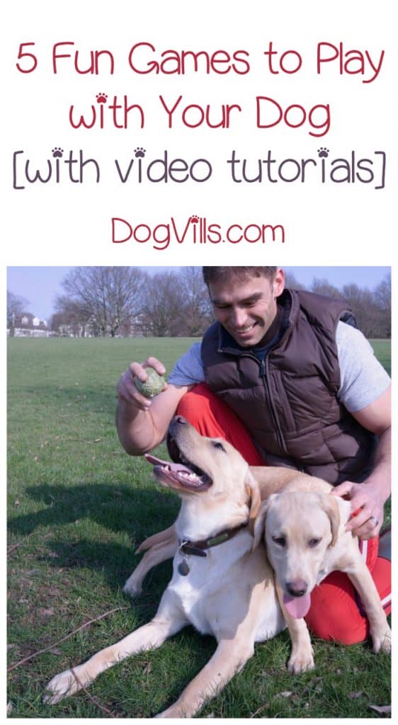 Looking for dog training tips that are actually fun to implement and help you bond with Fido? Try these five fun games for dogs!